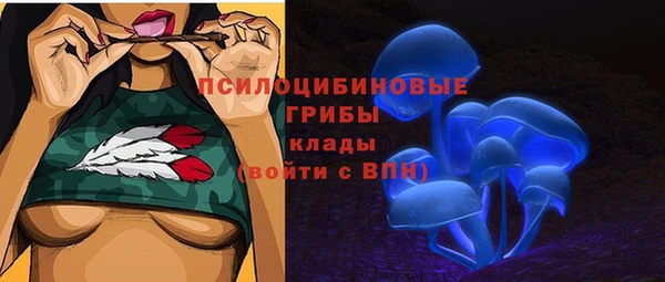 индика Новокубанск