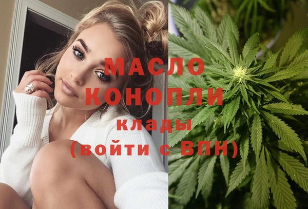 индика Новокубанск
