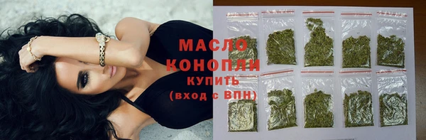 индика Новокубанск