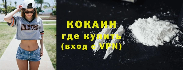 индика Новокубанск