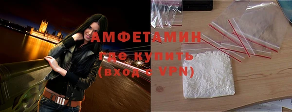 индика Новокубанск