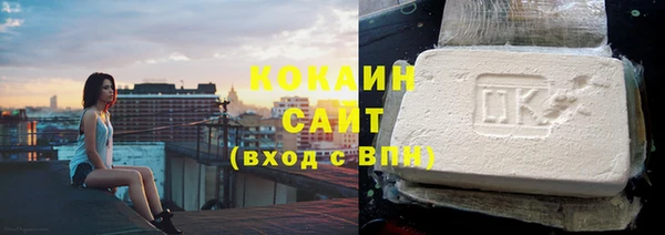 индика Новокубанск