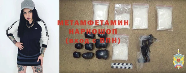 индика Новокубанск