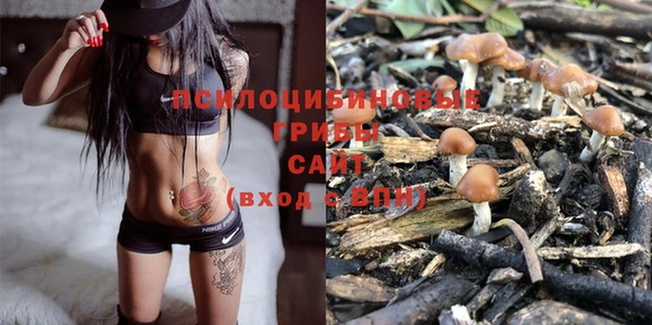 спайс Новодвинск