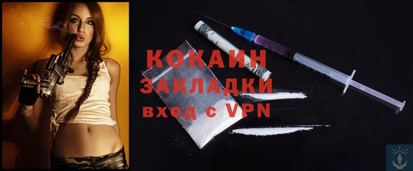 индика Новокубанск