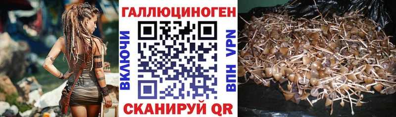 Галлюциногенные грибы MAGIC MUSHROOMS  цены   Спас-Клепики 